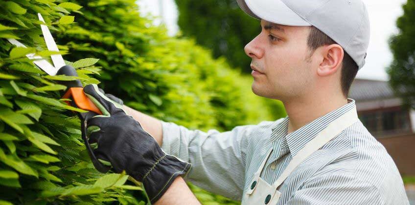 consolidamento dei debiti